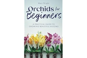 Orchids for Beginners: A Practical Guide to Growing Beautiful Blooms