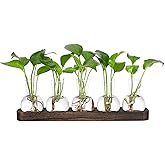 YIBOT Plant Propagation Stations,Glass Propagation Vases for Plants Terrarium with Wooden Tray Plant Lover Gifts for Propagating Hydroponic Plants Home Office Decor(5 Vase)