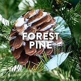 Air Wick 24/7 Active Fresh Frosted Sandalwood & Snowflakes Refills view 2