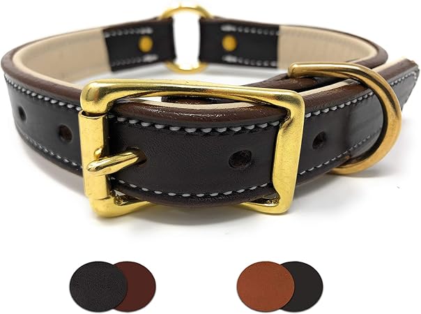leather center ring dog collar