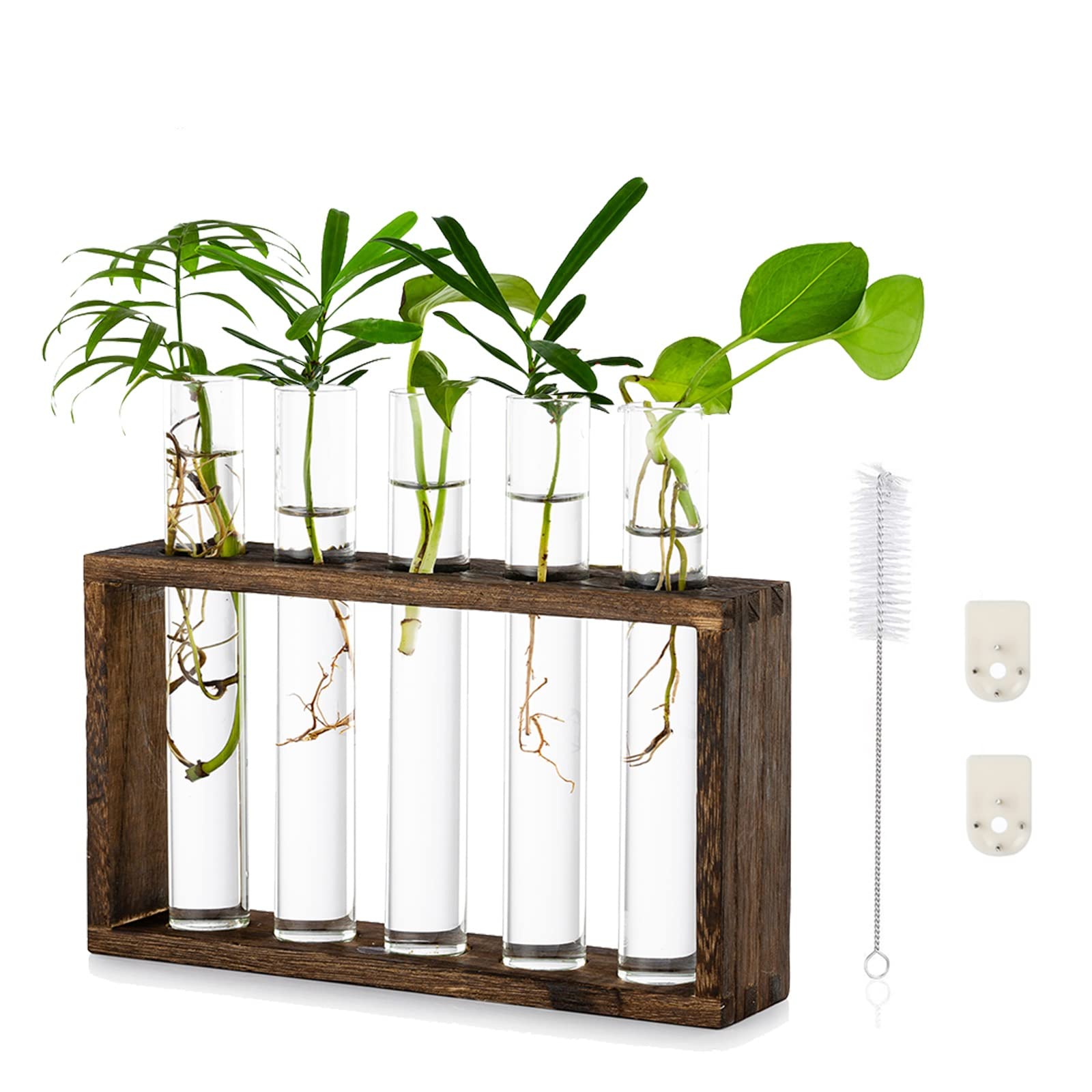 Tabletop Hanging Glass Planter Propagation Station Modern 5 Test Tube Flower Bud Vase in Wood Stand Rack Tabletop Terrarium for Hydroponic Plants Cuttings Office Home Decoration, Gift for Plant Lover
