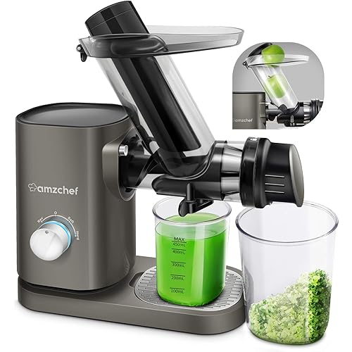 AMZCHEF Slow Juicer Machines Slow Masticating Juicer Cold Press Juicer Vegetables&Fruits Extractor 3'' Large Feed Chute Non-porous Filter Easy Clean ≤58dB 2 Speeds Jug Brush BPA-Free