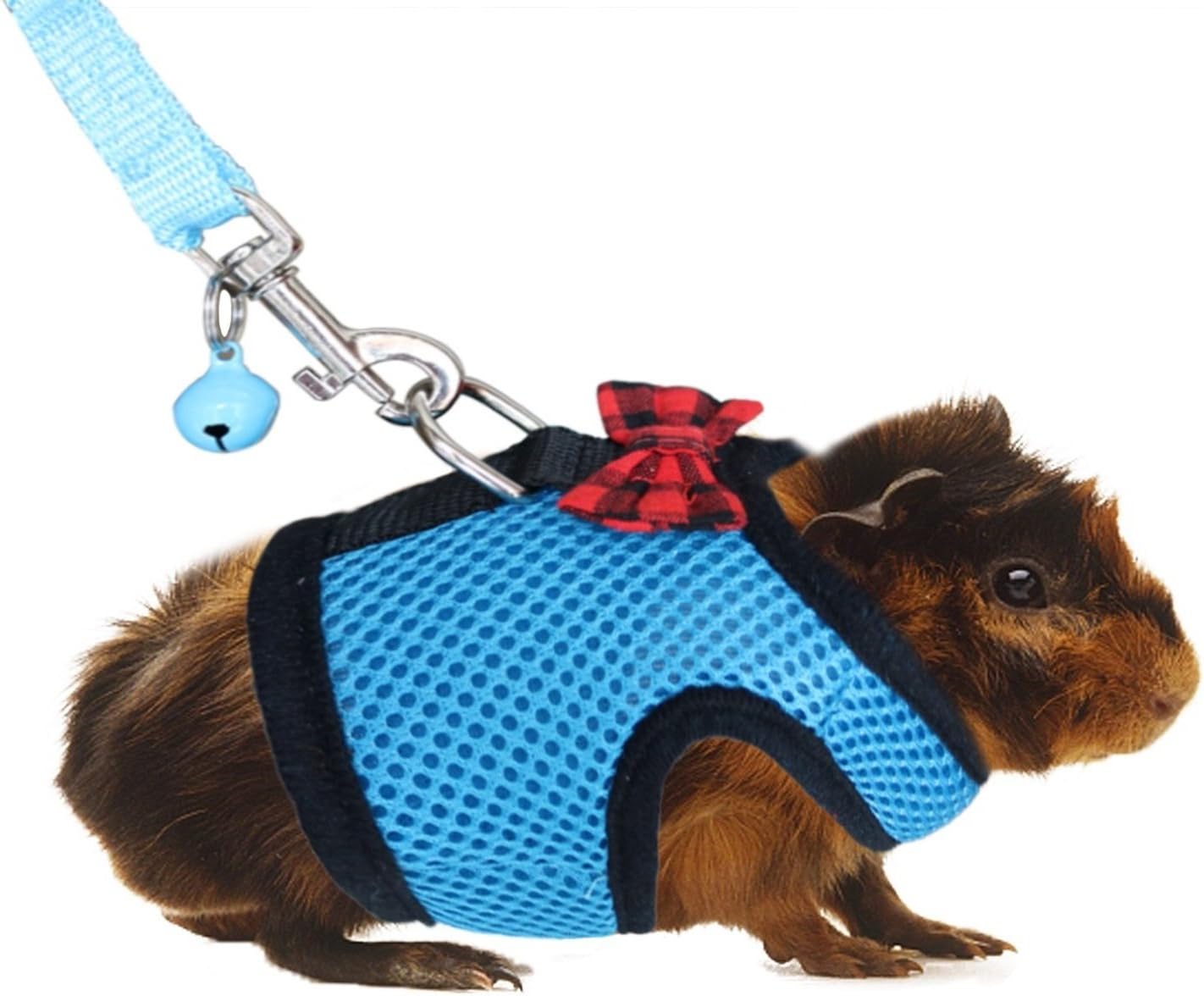 Best Genie Pig Leash