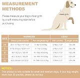 haapaw Dog Harness and Lead Set No Pull Reflective Adjustable Step-in Small view 7
