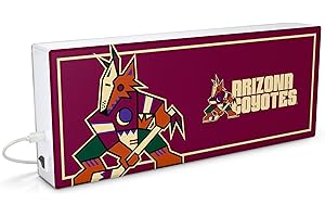 SOAR NHL LED Ambience Light Box: Elevate Your Space with Officially Licensed Wall Décor