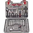 Apollo Tools 95 Piece Mechanics Tool Set with SAE and Metric Socket Sets and Mechanic Tools Needed for Small Engines, Boats, Bikes, Car Maintenance and Repairs - Gray - DT1241