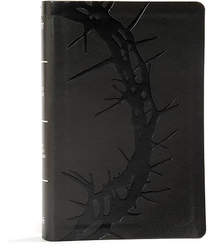VANRA Onglets de la Bible pour femme - Fournitures de journal biblique - 75 onglets laminés arc-en-ciel - Grand imprimé avec lettrage doré pour l'ancien et le nouveau testament
