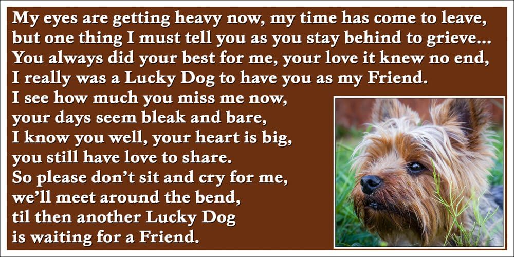 Yorkshire Terrier pet loss bereavement gift Flexible Fridge Magnet Memorial (Lucky Dog)
