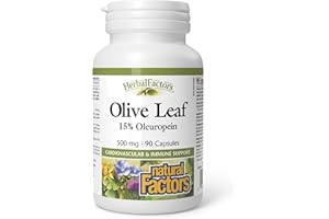 HerbalFactors by Natural Factors, Olive Leaf 500 mg, Natural Wellness Formula, 90 Capsules