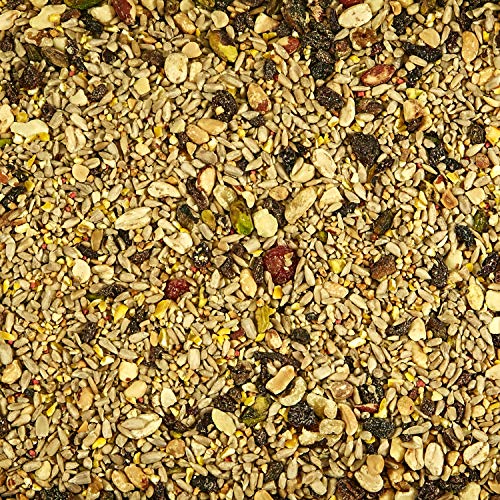 Kaytee Wild Bird Waste Free Nut and Fruit Food Seed Blend For Woodpeckers, Juncos, Cardinals