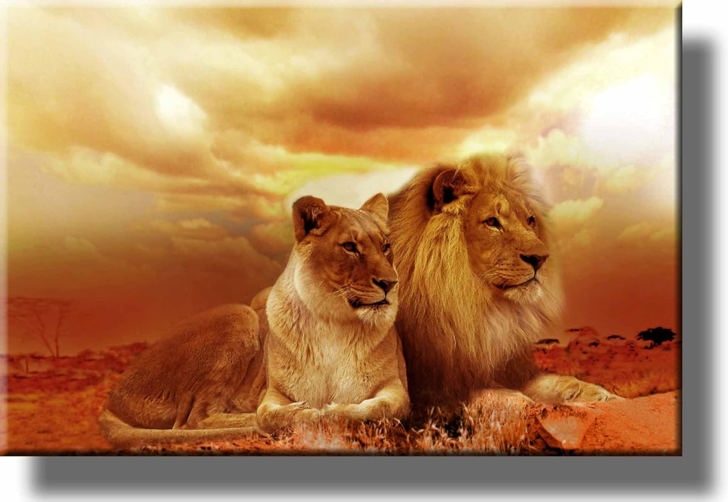 African Lion and Lioness Picture on Stretched Canvas Wall