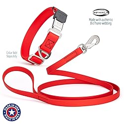 Randstark Biothane Waterproof Durable Dog Leash