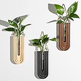 Dnnnii Indoor Wood Wall Planter Set of 3 for Plants - Boho Handmade Hanging Propagation Station with Curved Rainbow Design, Wall Mounted Vase for Flowers, Natural Home Decor Living Room Entryway