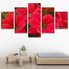 SIGNWIN 5 Panel Canvas Wall Art Red Fields...