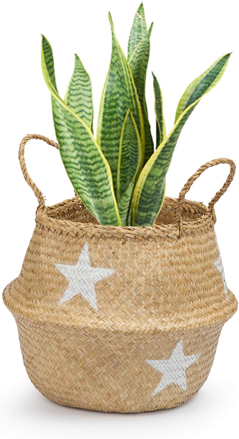 Seagrass Round Basket with Handles, Decorative Woven Basket, Plant Holder, Picnic Basket or Indoor Storage for Blankets, Toys or Laundry, by Toma Design (White -Star, Medium)