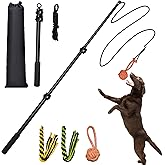SailStart Flirt Pole for Dogs Heavy Duty 40inch Extendable Aluminum Alloy Dog Flirt Pole for Large/Medium/Small Gogs,Interact