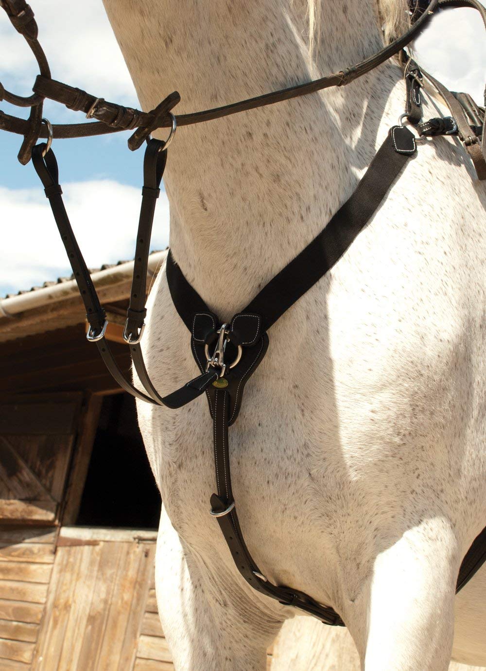 Rhinegold V-Check Elasticated Breastplate-Cob-Black