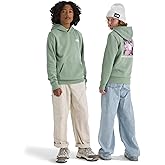 The North Face unisex-child Evolution Box Nse Pullover Graphic Hoodie