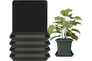 TNTIWQ 5 Pack 7 Inch Square Plant Saucers for Less 6 Inch Pot Indoors Outdoors Plant Trays for Pots Planter Saucer Plastic Plant Drip Tray Flower Planter Water Tray for Potted Plant(Black, 7"(5pcs))