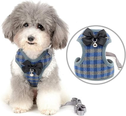 Zunea Harnais Et Laisse Pour Petit Chien Anti Traction Avec