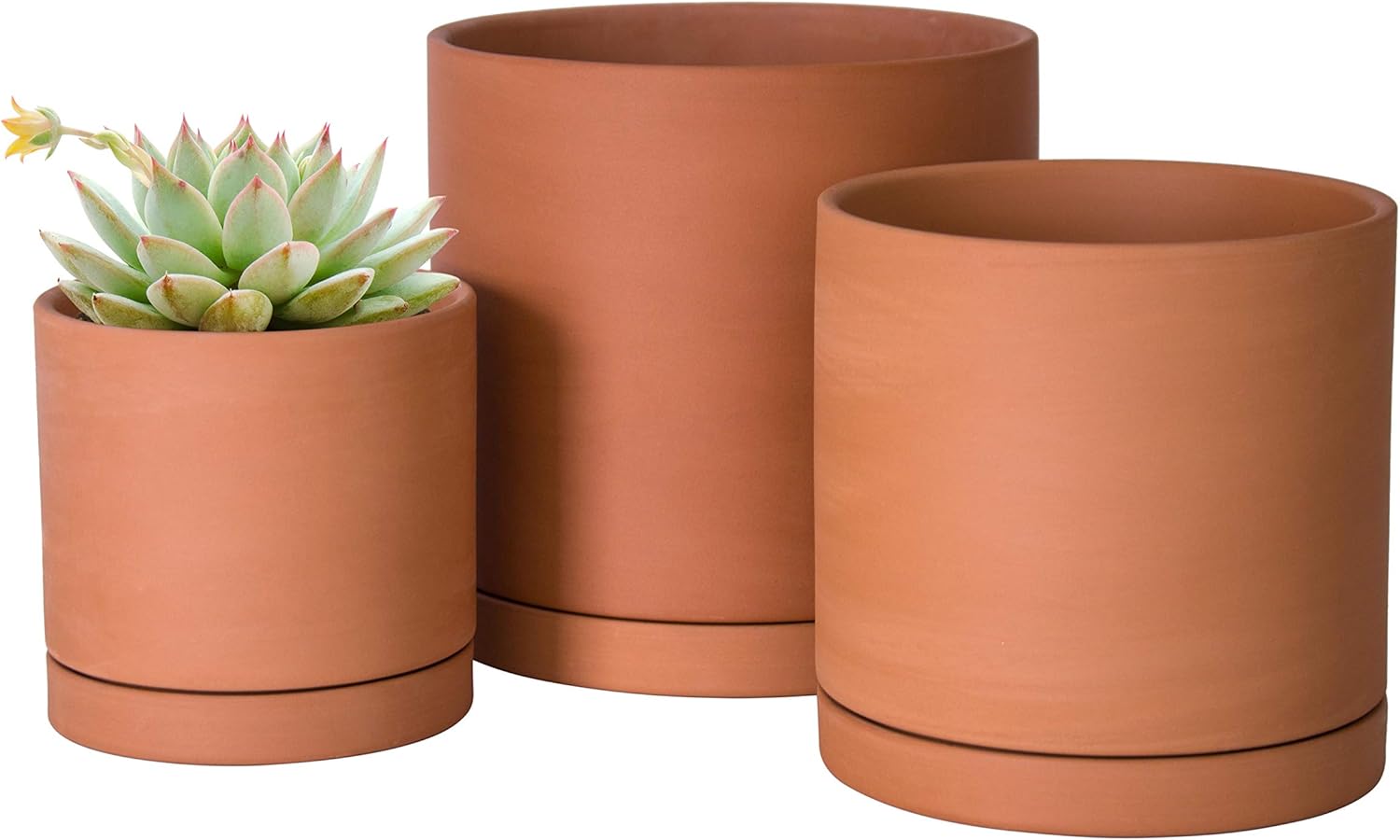 Terracotta Pots with Drainage Hole & Saucers