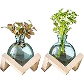 wangsdjy Plant Propagation Station, Plant Terrarium with Wooden Stand for Hydroponic Plant Propagation, Propagation Vases for Plants, Green Glass Bulb Vases for Home Office Decor (2)