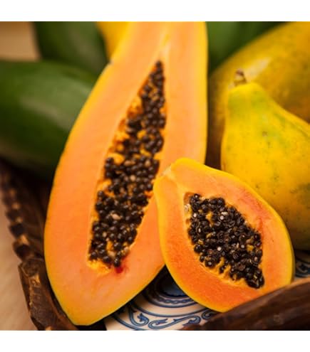 Amazon.com : Hawaiian Solo Papaya WAIMANALO X-77 Seeds (25 Seeds
