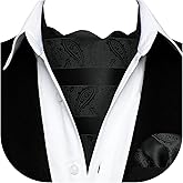 HISDERN Ascot Ties for Men Paisley Cravat Tie and Pocket Square Set Floral Mens Ascot Scarf Handkerchief Wedding Party