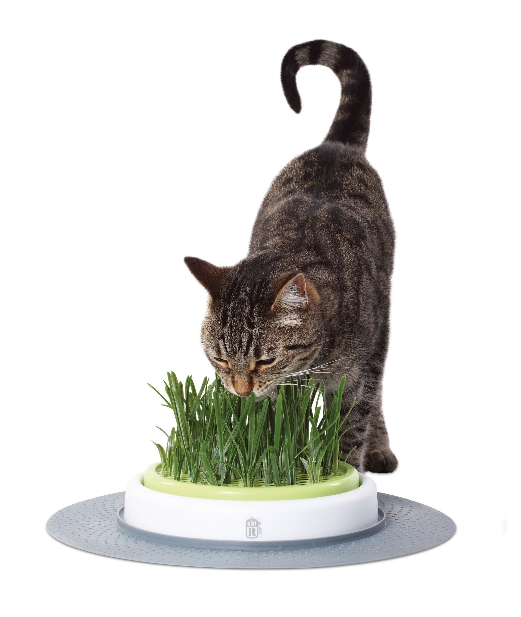 Catit Senses Grass Garden