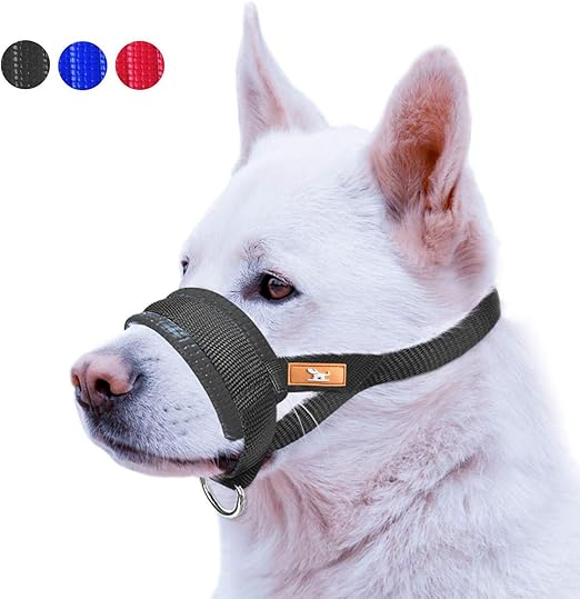 large breed dog muzzle