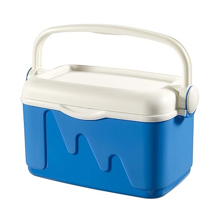 Curver Nevera Portátil, 10 L, Azul: Amazon.es: Hogar