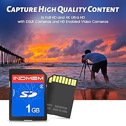 INDMEM SD Card 1GB, 10 Packs Class 4 1GB Flash
