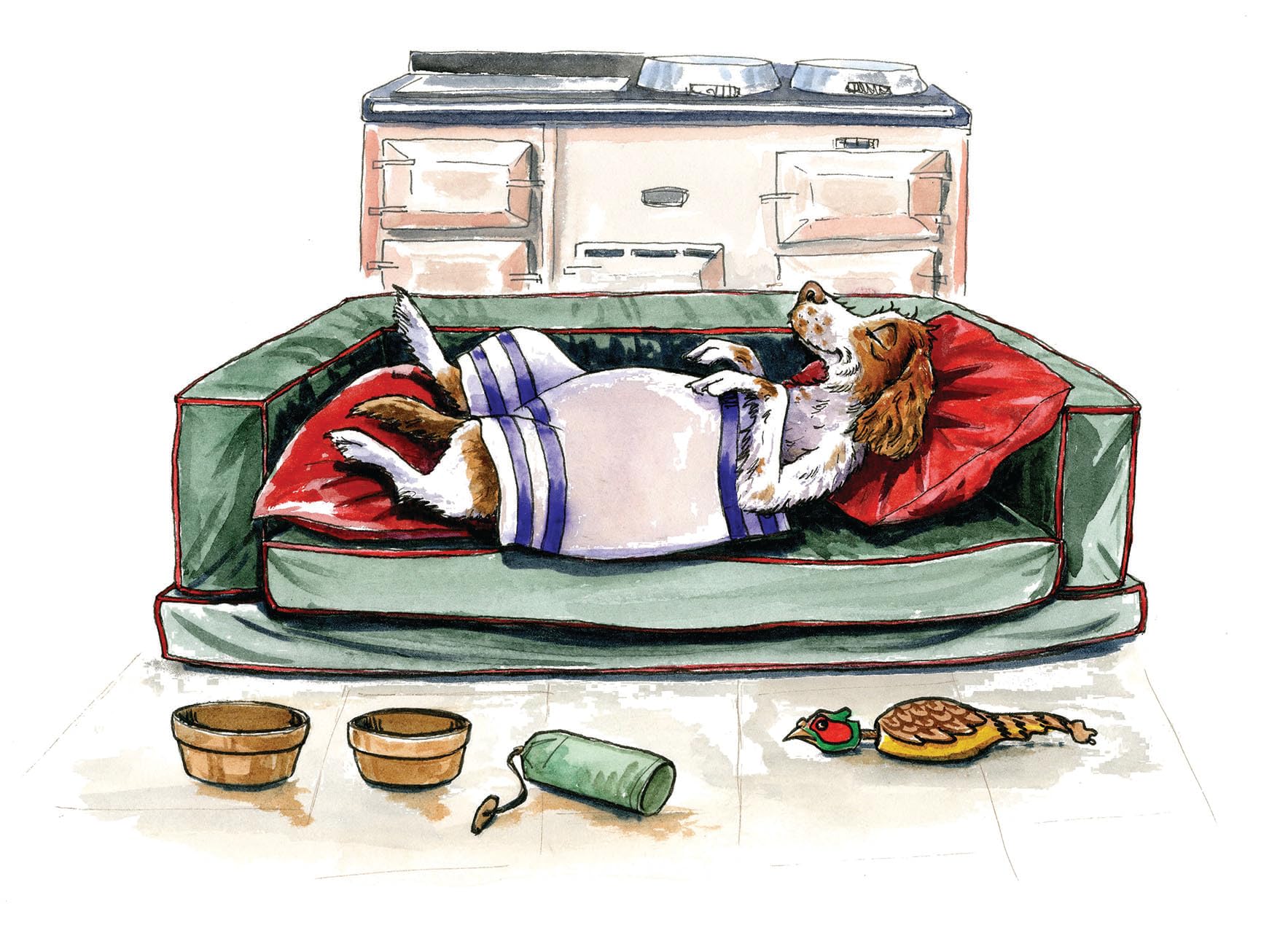 Sofa Spaniel Dog Greeting Card by Bryn Parry