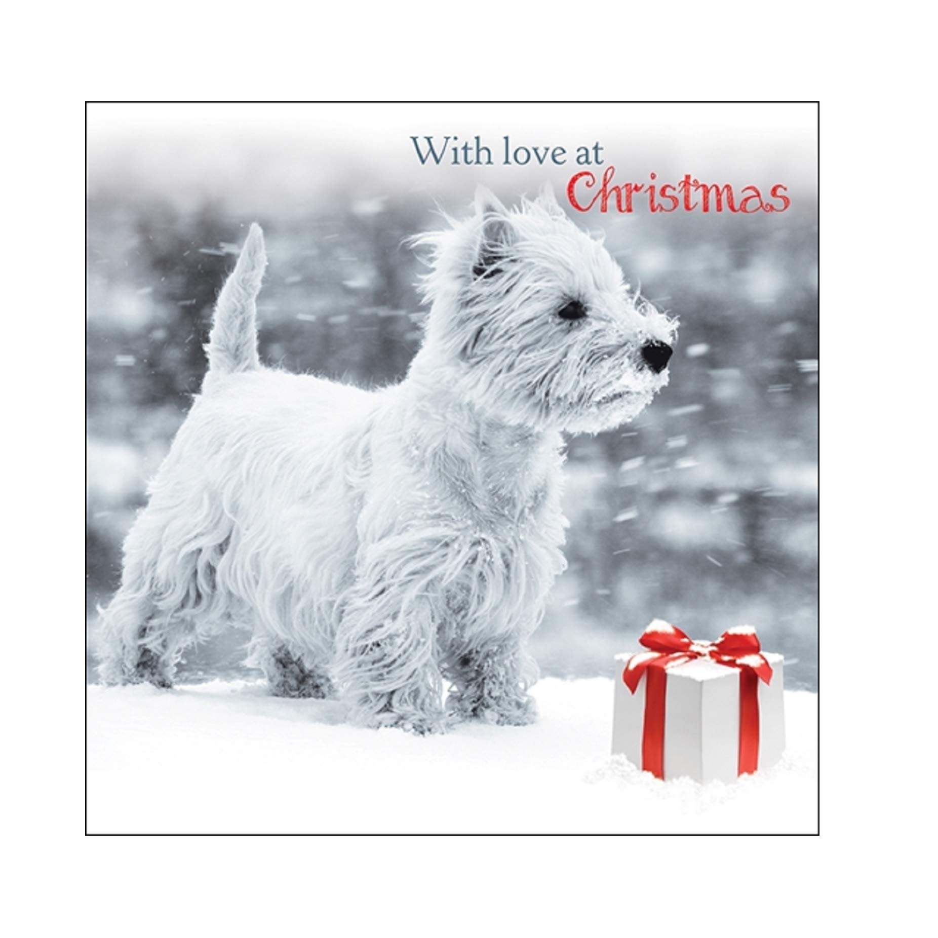 Quayside Cards Snowy Westie Charity Christmas Cards - Pack of 10,grey|red|blue|silver|white,105mm x 105mm
