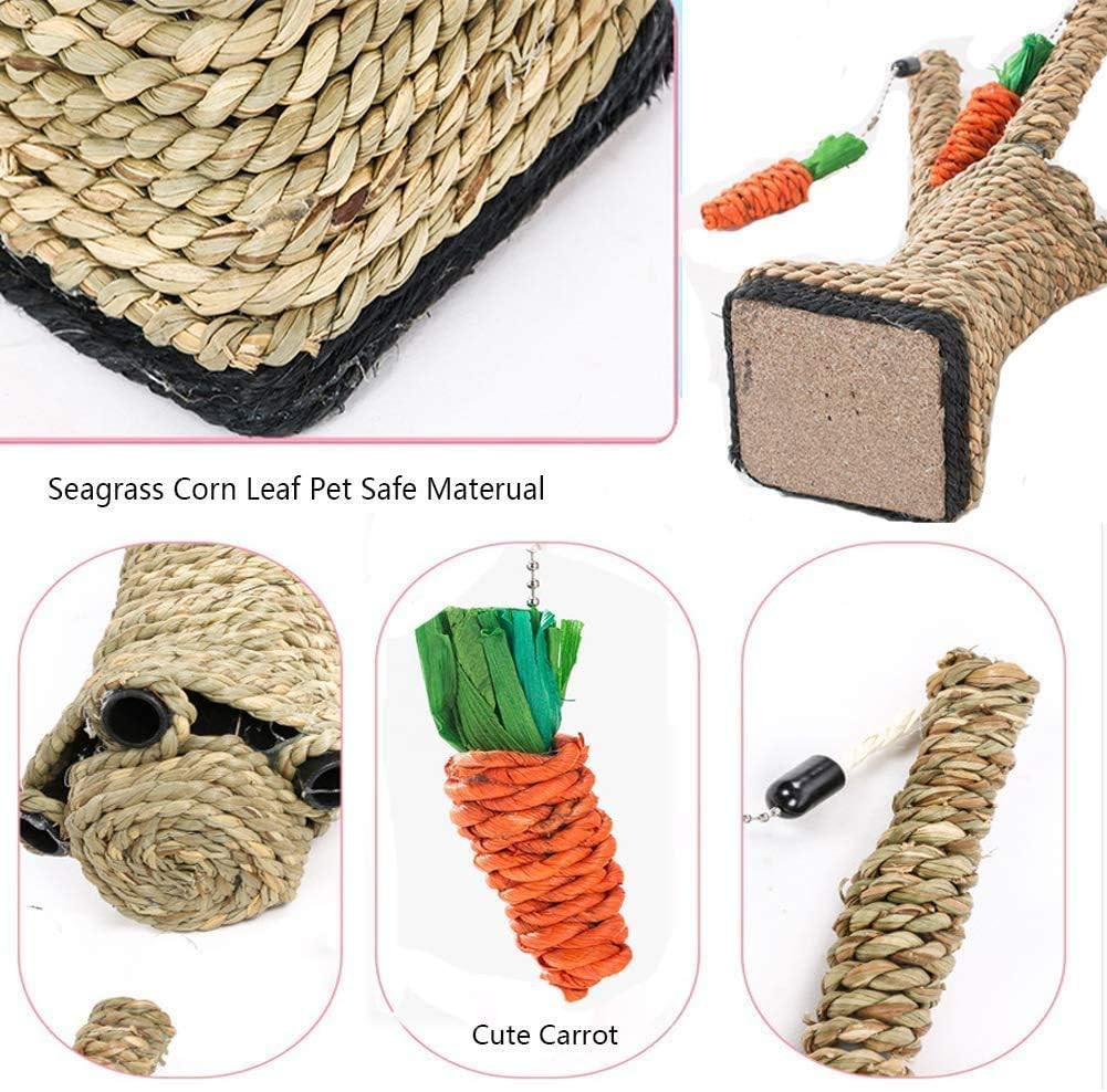 Small Animal Activity Toy - Image 3