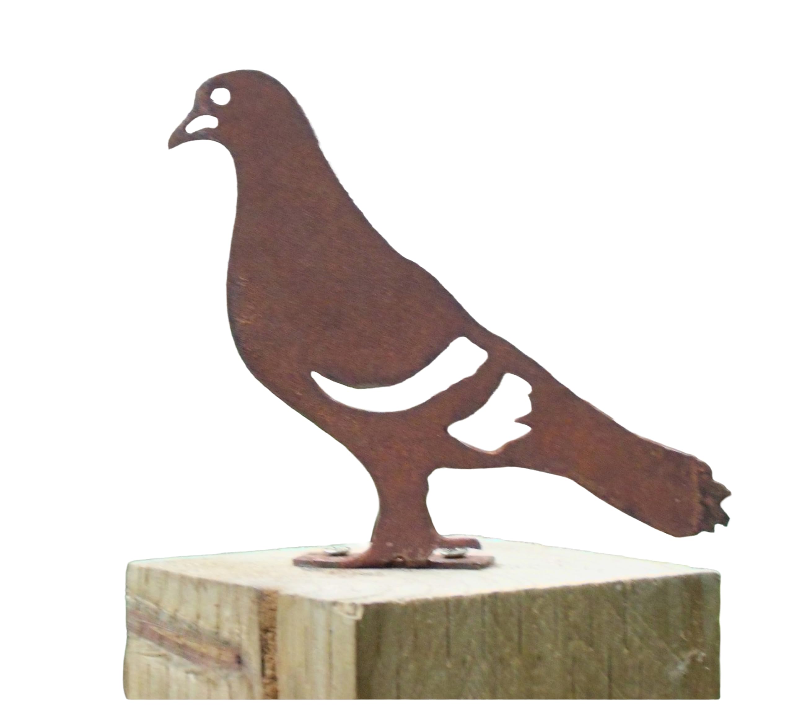 Really Raw Creations Rusty Metal Pigeon Bird Garden Ornament Rustic Fence Post Topper Rusted Steel Garden Art Gift