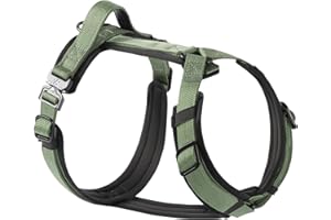 PAWS PASSION PawsPassion Dog Harness for Medium Dogs, No Pull Dog Harness Easy Walk with Metal Hardware, Ergonomic Y-Shaped Design, Soft Padding, Padded Handle, Durable High-Tensile Nylon (Evergreen, M)