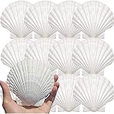 YUNMOE 12PCS Large Natural Scallop Shells 4''-5'' White Sea Shells for DIY Craft Making, Hand Painting, Ocean Themed Party an