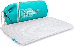 BLISSBURY Thin 2.6" Stomach Sleeping Memory Foam Pillow. Slim, Flat, Cooling Sleep for Belly or Back with Soft Bamboo Washable Cover, Neck and Head Support for Men and Women Bedding Accessories