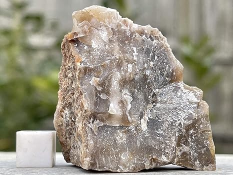 Silvergeo Dinosaurier Coprolite Fossil Poo Jurassic Fsa187 Amazon De Kuche Haushalt