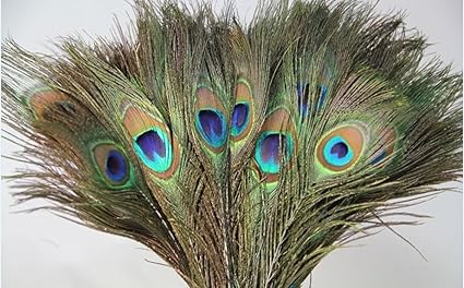 Desi Natural Peacock Eye Feathers Tails, Pack of 25