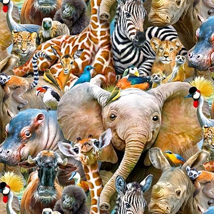 Amazon Com Graphics More African Animals Zebra Giraffe Elephant