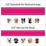 Joytale Double-Sided Reflective Dog Leash 6FT 5FT 4FT Padded Handle Hotpink view 6