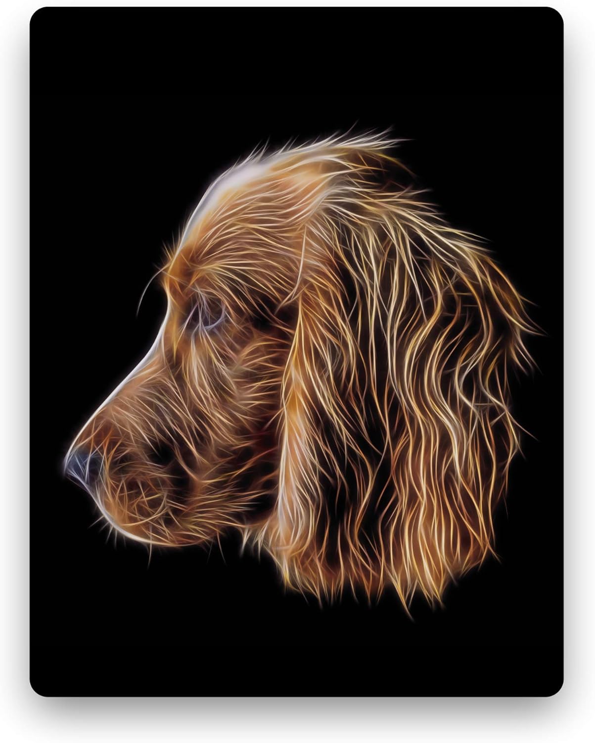 working cocker spaniel red