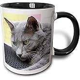 3dRose Gorgeous grey cat is a portrait of a stunning blue russian kitty 11oz Two-Tone Black Mug
