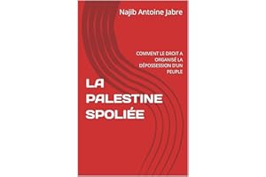 LA PALESTINE SPOLIÉE: COMMENT LE DROIT A ORGANISÉ LA DÉPOSSESSION D’UN PEUPLE (French Edition)