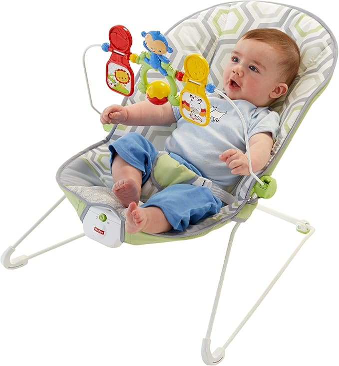baby bouncer and vibrating chair