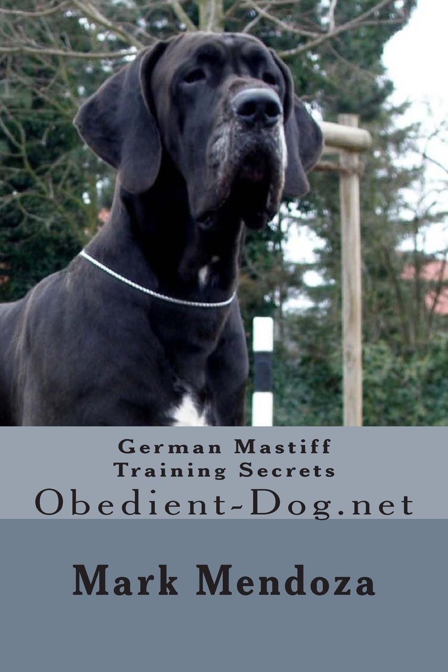 german mastiff