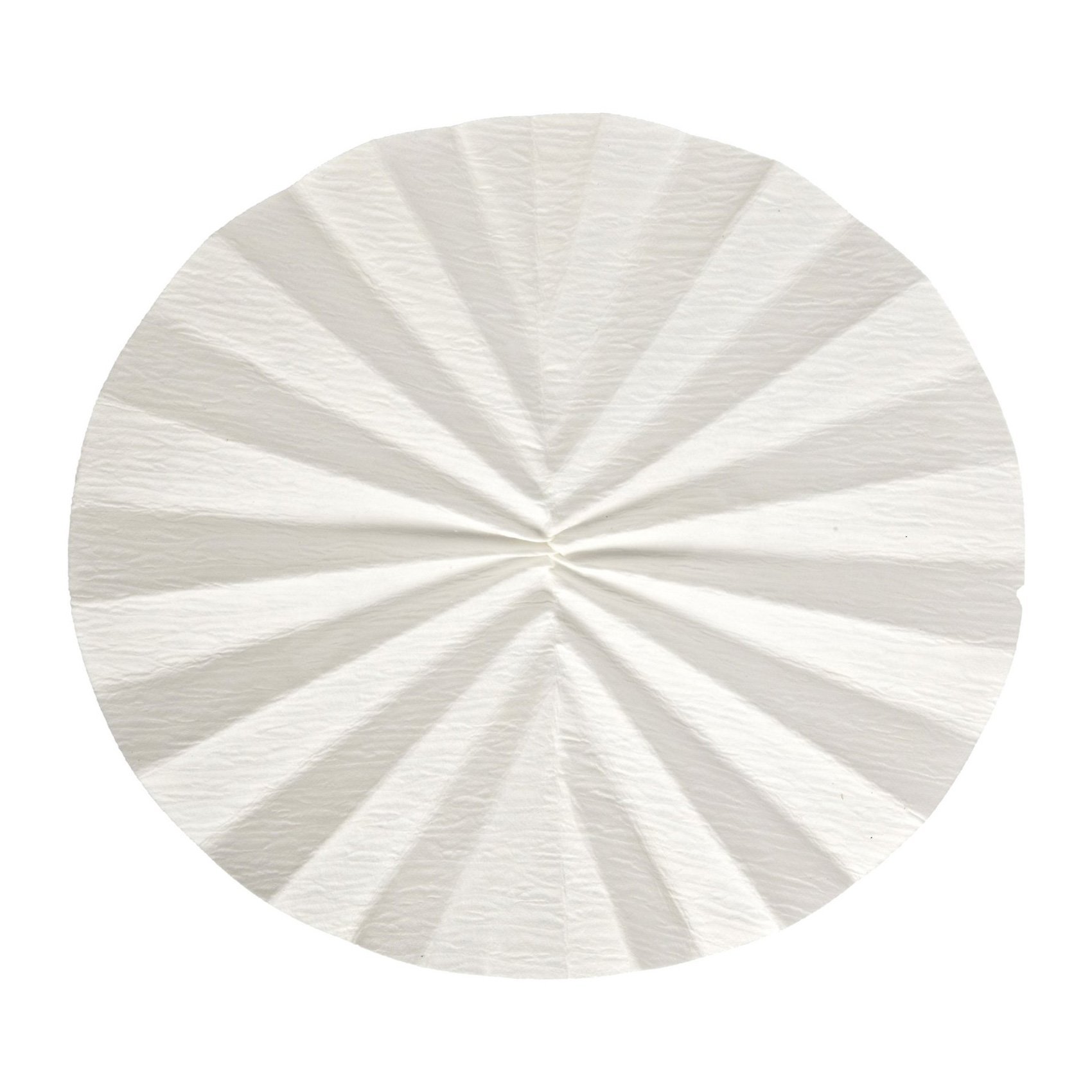 Whatman 1202-320 Quantitative Folded Filter Paper, 8 Micron, Grade 2V, 320mm Diameter (Pack of 100)