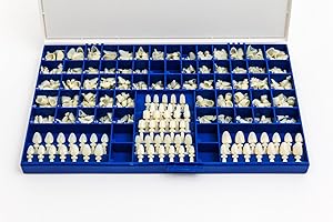 UVUBXT Polycarbonate Temporary Dental Crowns Kit 360 pcs with Crown Mold Guides